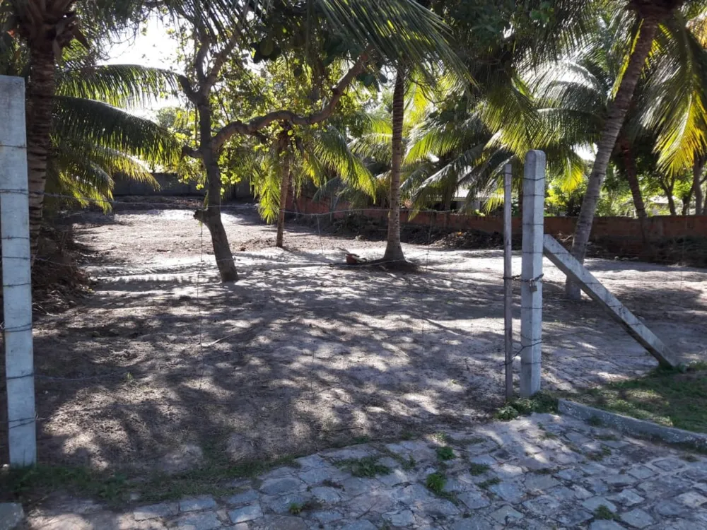 Terreno, 1000 m² - Foto 3