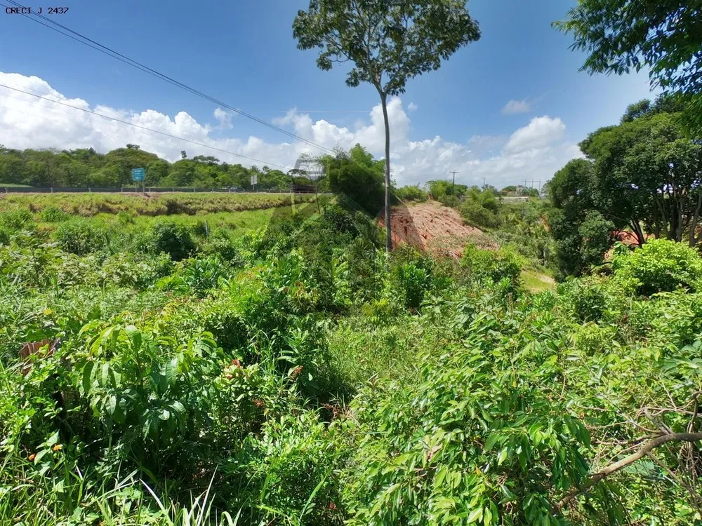 Loteamento e Condomínio, 1 hectares - Foto 4