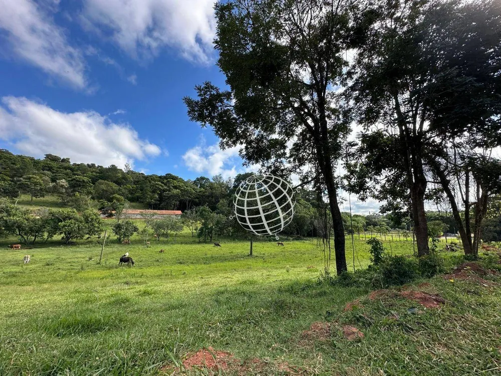 Terreno, 2 hectares - Foto 4