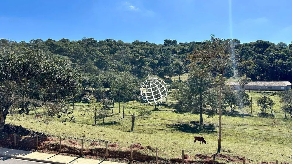 Terreno, 2 hectares - Foto 4