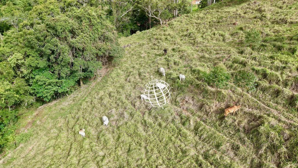 Terreno, 2 hectares - Foto 11