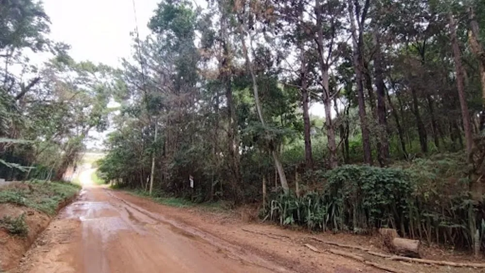 Terreno, 2000 m² - Foto 3