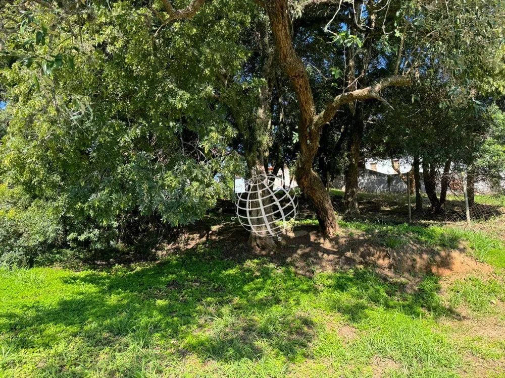 Terreno, 433 m² - Foto 9