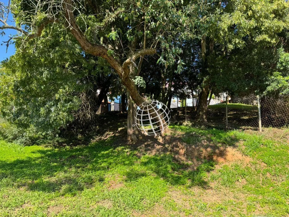 Terreno, 433 m² - Foto 7
