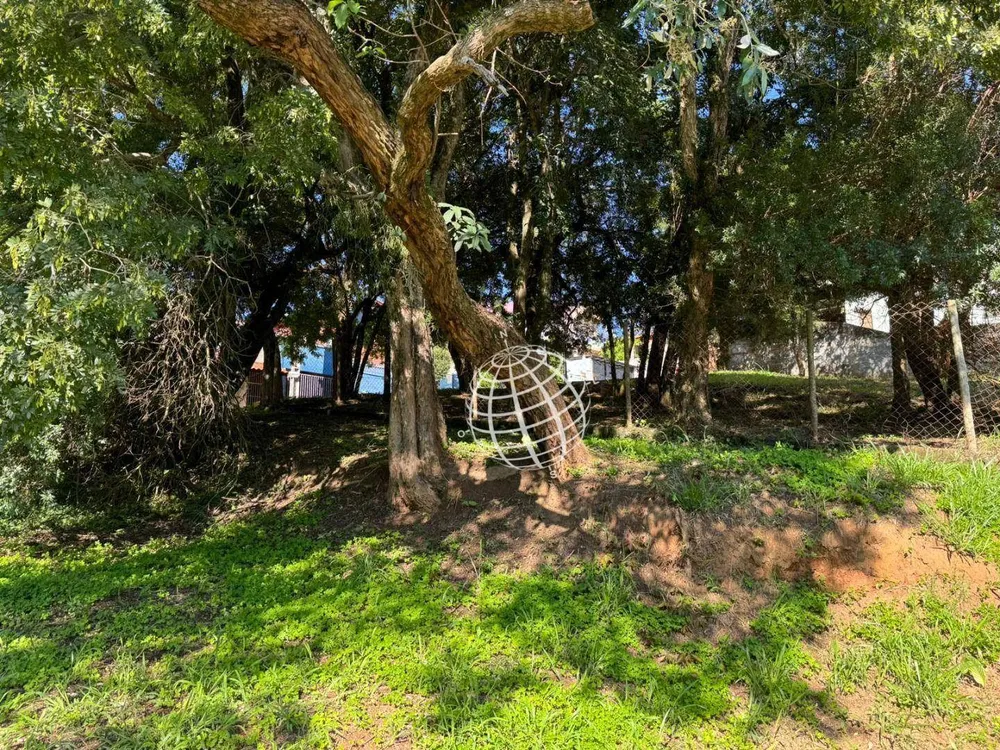 Terreno, 433 m² - Foto 1
