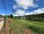 Terreno, 2 hectares - Foto 4