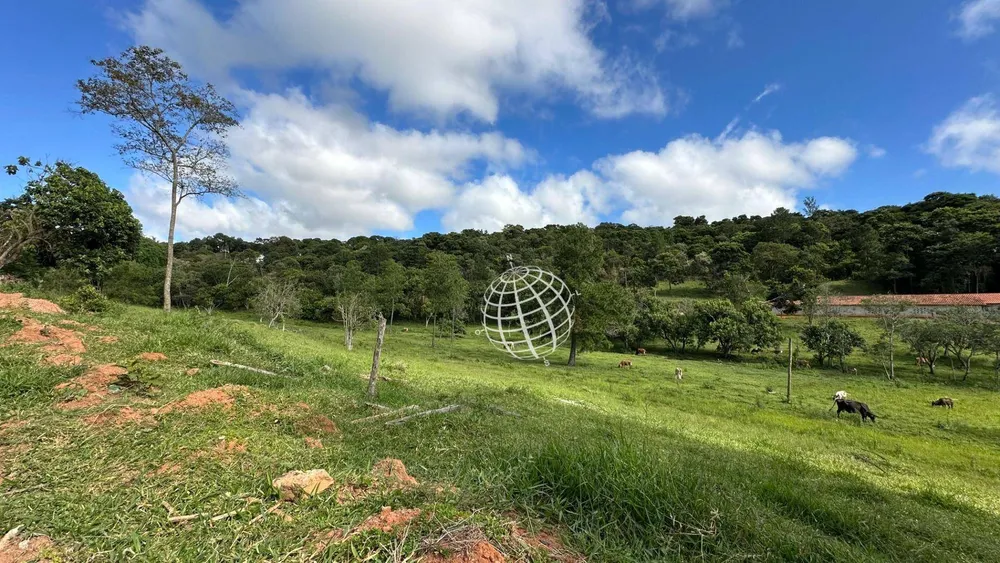 Terreno, 2 hectares - Foto 3