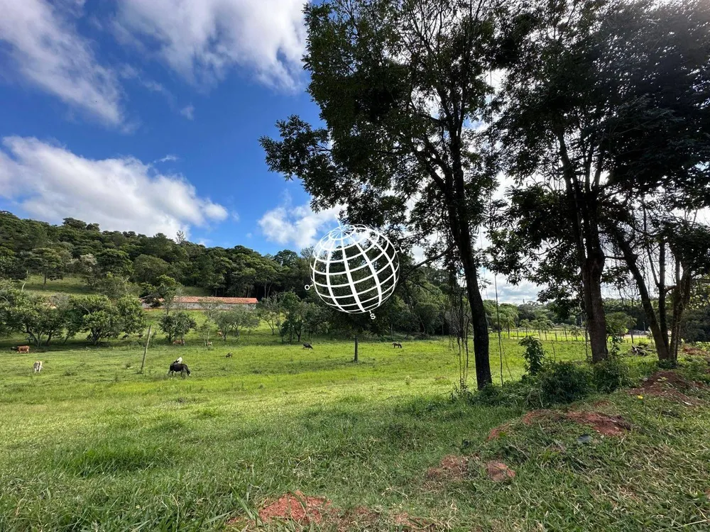 Terreno, 2 hectares - Foto 4