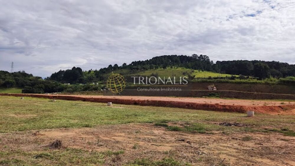 Terreno, 3 hectares - Foto 4