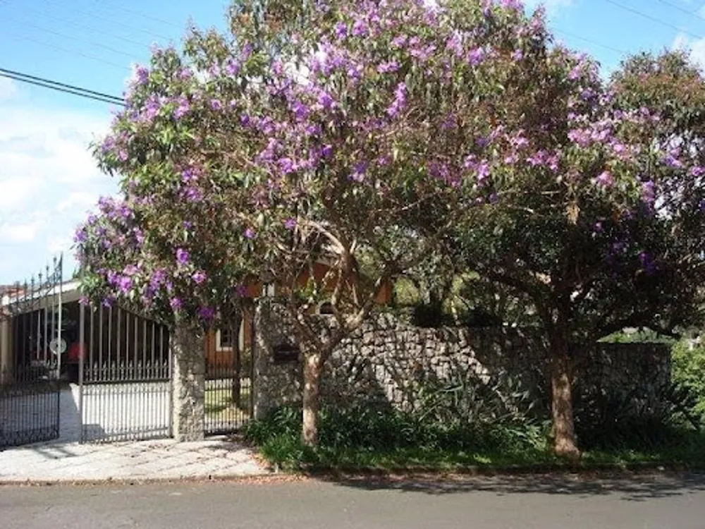 Casa, 3 quartos, 503 m² - Foto 5