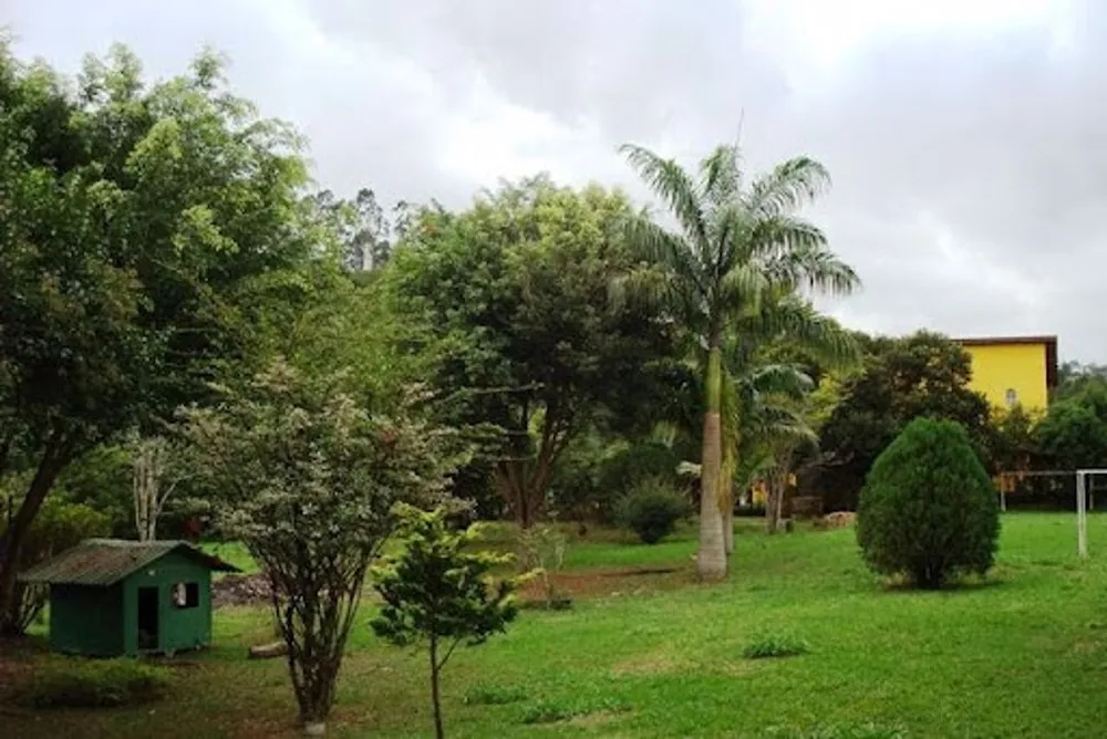 Chácara, 7 quartos, 8045 m² - Foto 11