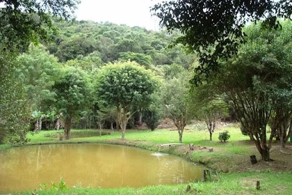 Chácara, 7 quartos, 8045 m² - Foto 7