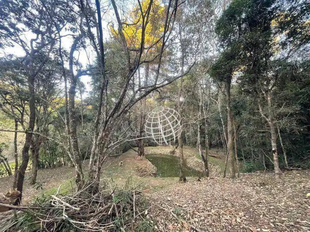 Chácara, 3 quartos, 4 hectares - Foto 9