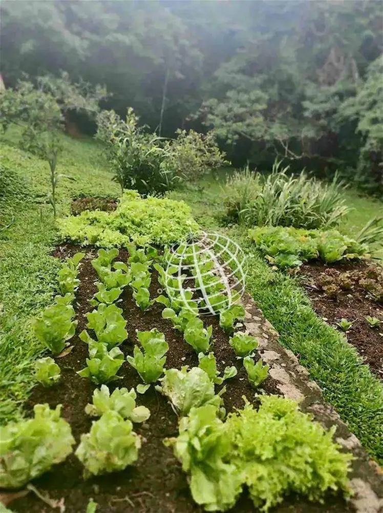 Chácara, 3 quartos, 4 hectares - Foto 8