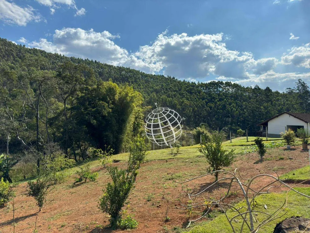 Chácara, 4 quartos, 5 hectares - Foto 12