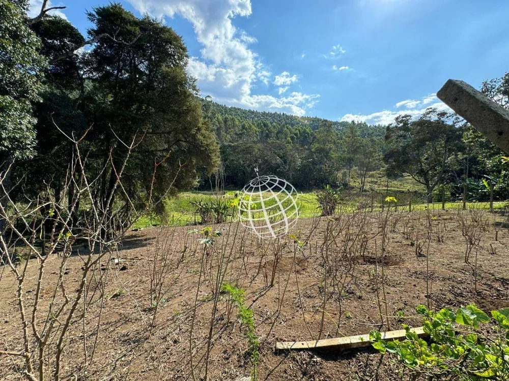 Chácara, 4 quartos, 5 hectares - Foto 4