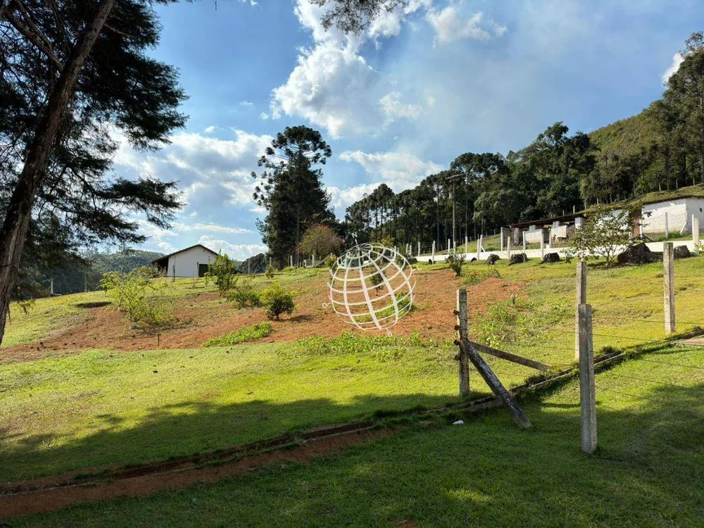 Chácara, 4 quartos, 5 hectares - Foto 1