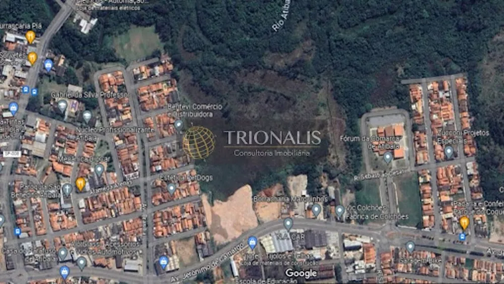Terreno, 3 hectares - Foto 12