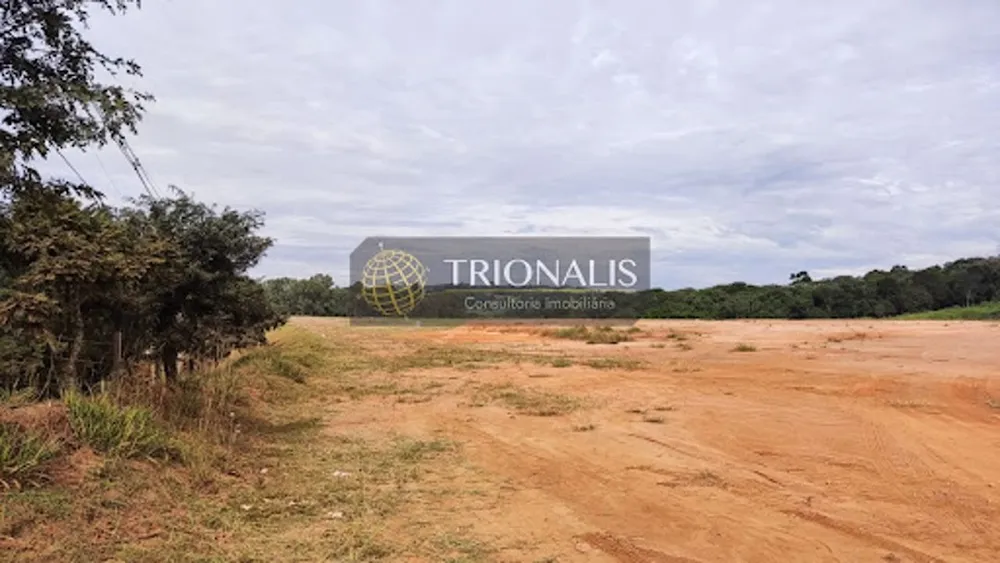 Terreno, 3 hectares - Foto 8