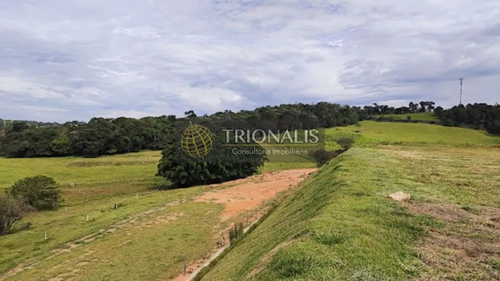 Terreno, 3 hectares - Foto 11