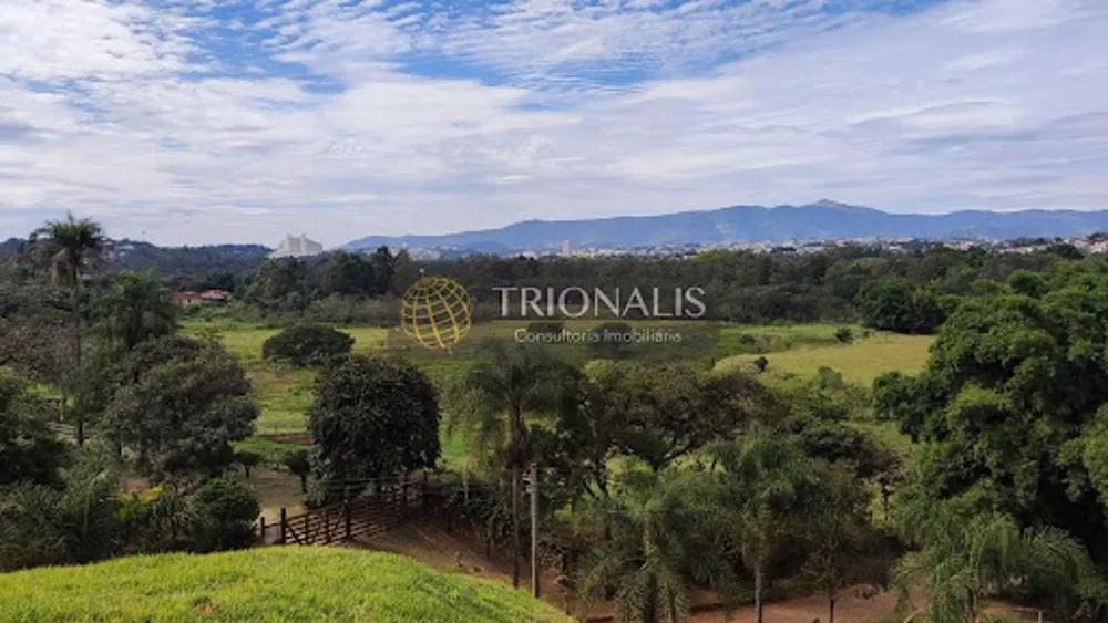 Terreno, 3 hectares - Foto 6