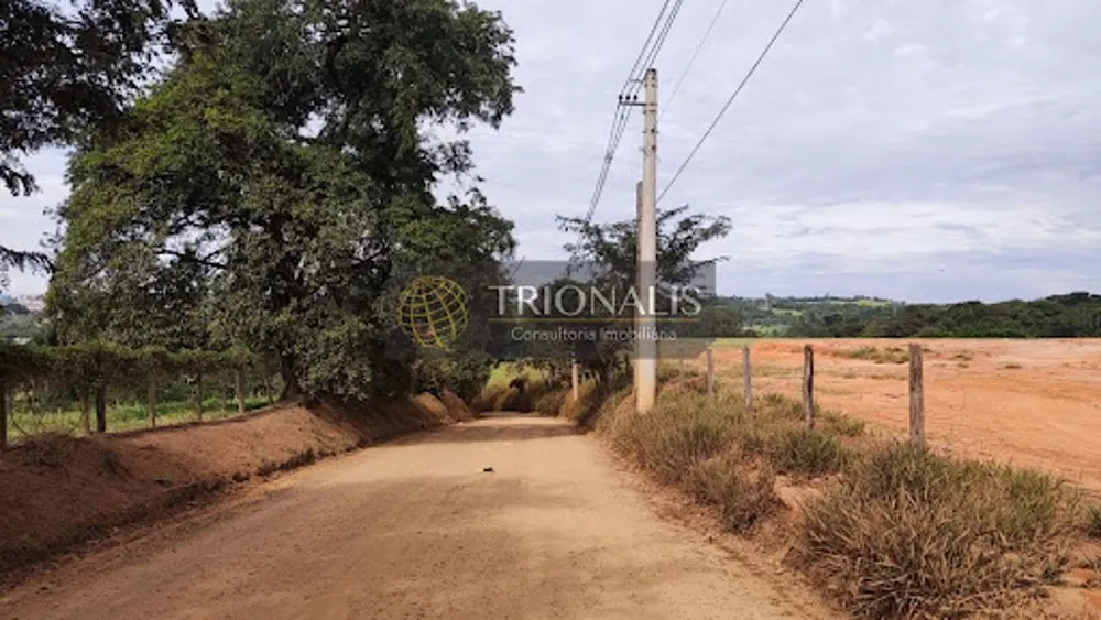 Terreno, 3 hectares - Foto 6