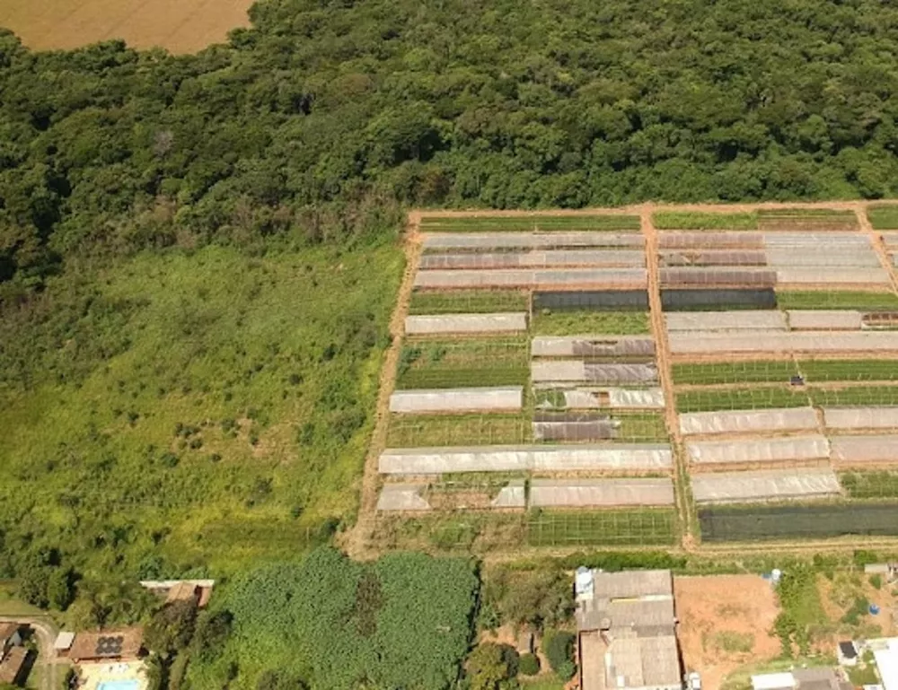 Terreno à venda, 20000M2 - Foto 2