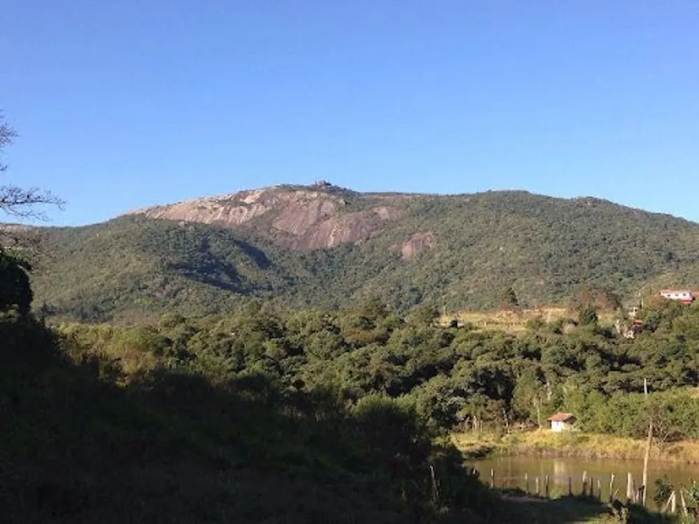 Terreno, 3 hectares - Foto 9