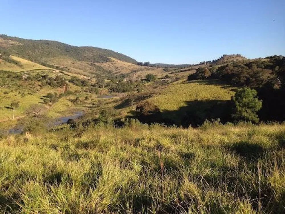 Terreno, 3 hectares - Foto 7