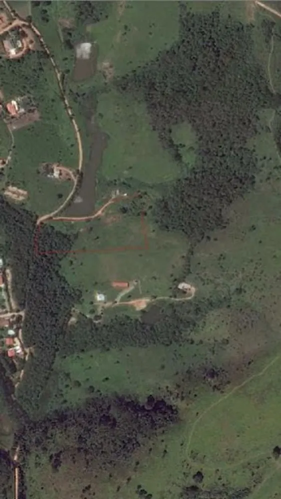 Terreno, 3 hectares - Foto 4