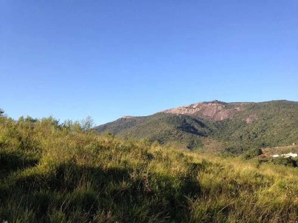 Terreno, 3 hectares - Foto 10