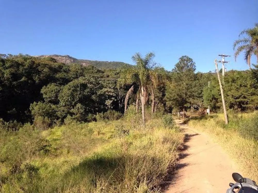 Terreno, 3 hectares - Foto 8