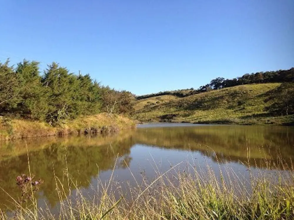 Terreno, 3 hectares - Foto 6
