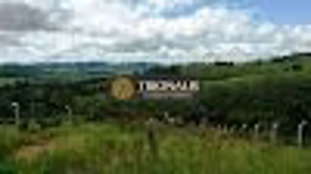 Terreno, 1000 m² - Foto 8