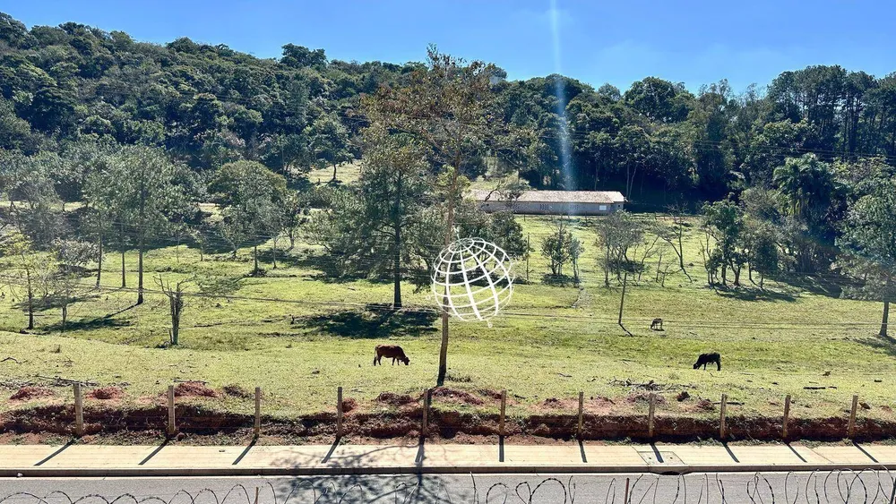 Terreno, 8 hectares - Foto 6