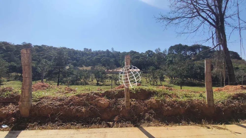Terreno, 8 hectares - Foto 7