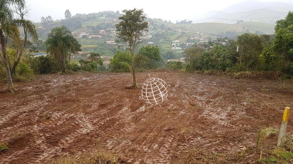 Terreno, 4 hectares - Foto 4