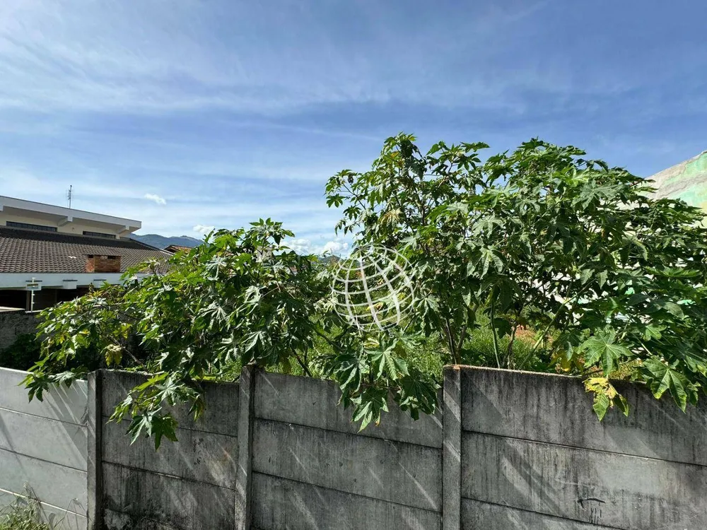 Terreno, 471 m² - Foto 3