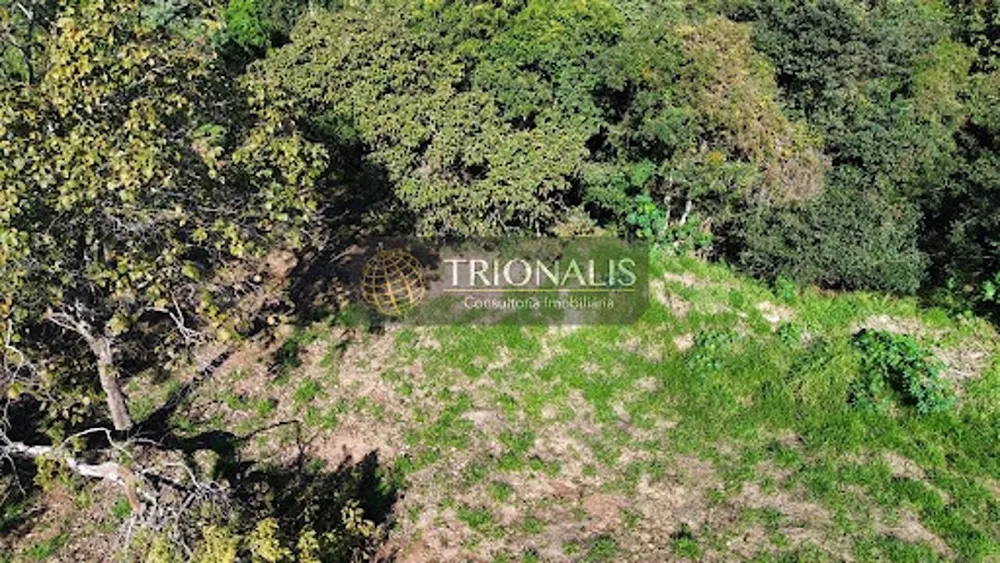 Terreno, 2 hectares - Foto 10