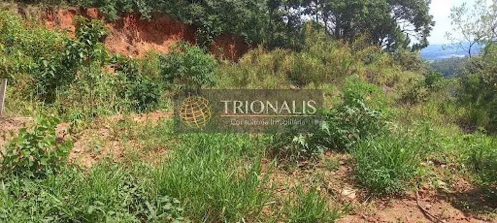 Loteamento e Condomínio, 1011 m² - Foto 4