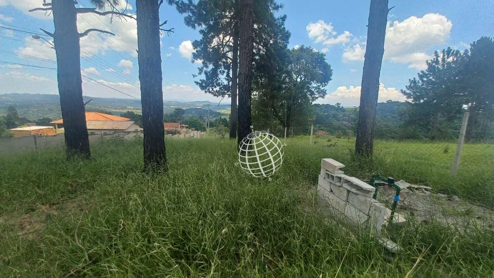 Terreno, 728 m² - Foto 8