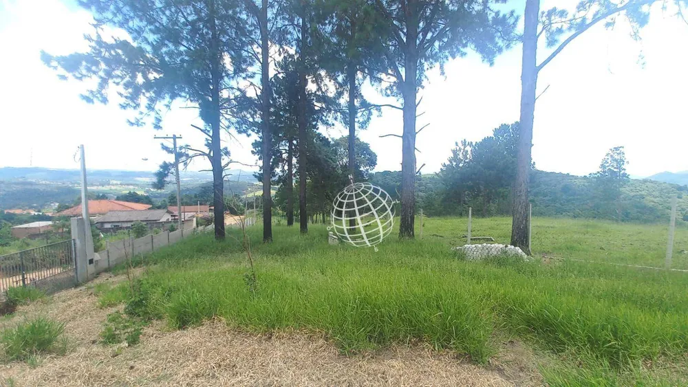 Terreno, 728 m² - Foto 9