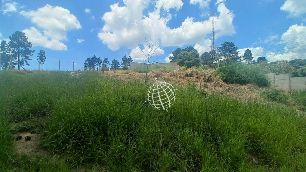 Terreno, 728 m² - Foto 6