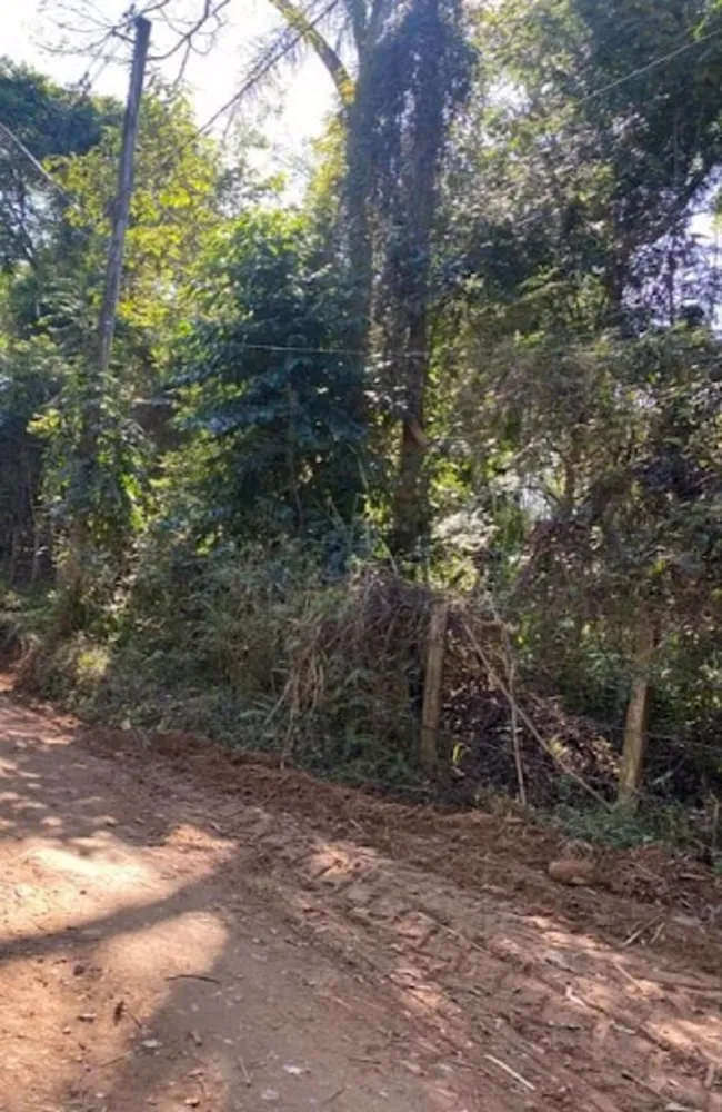 Terreno, 1 hectares - Foto 3