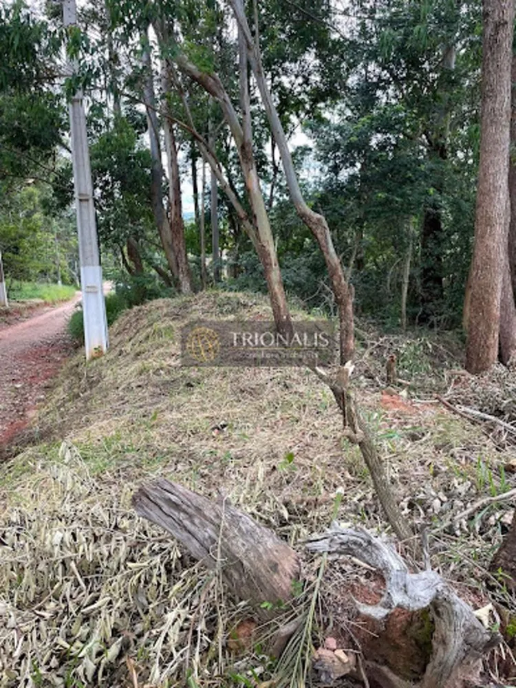 Terreno, 360 m² - Foto 8