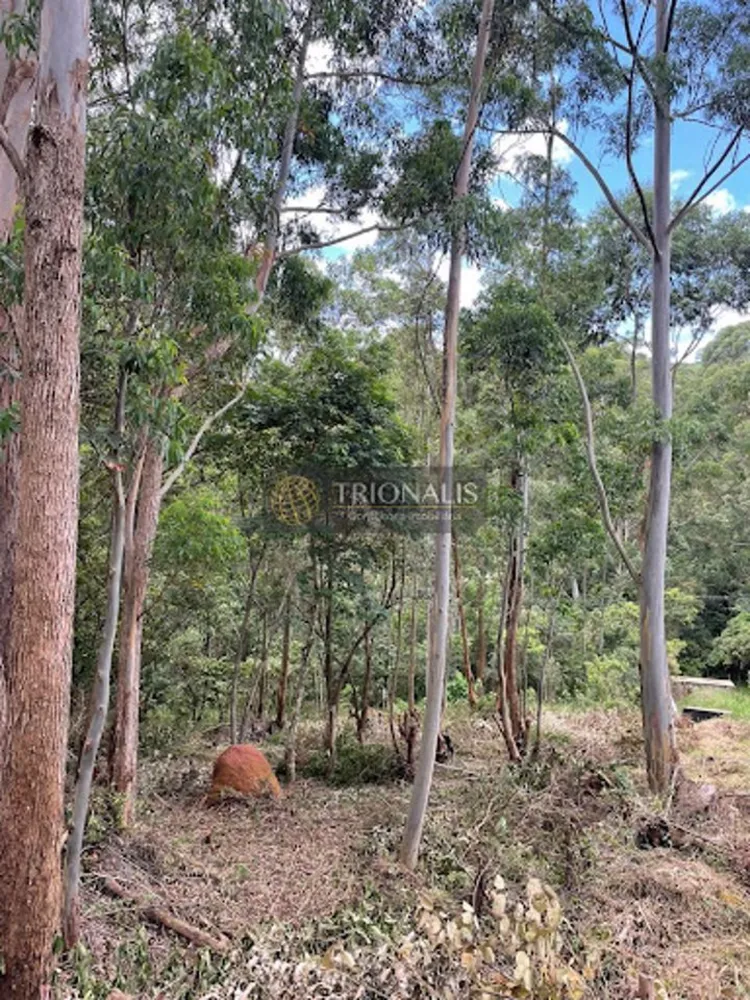 Terreno, 360 m² - Foto 3