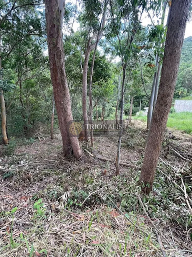 Terreno, 360 m² - Foto 4