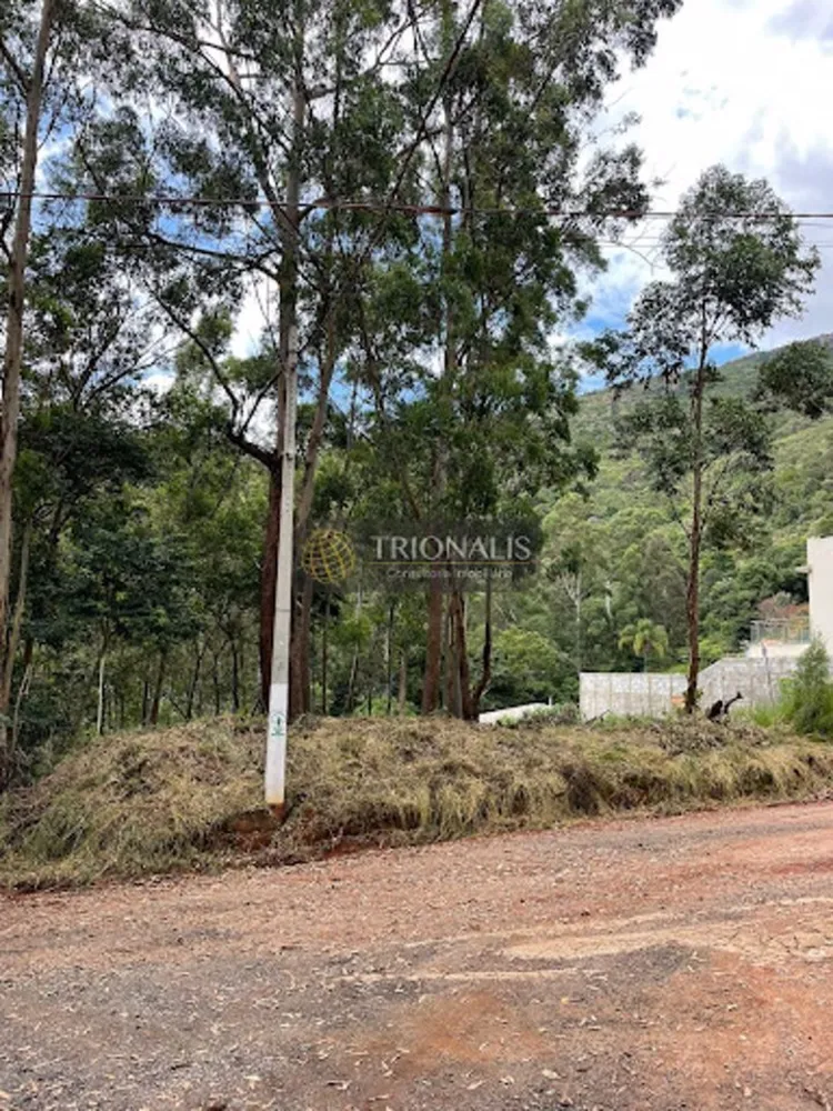 Terreno, 360 m² - Foto 9