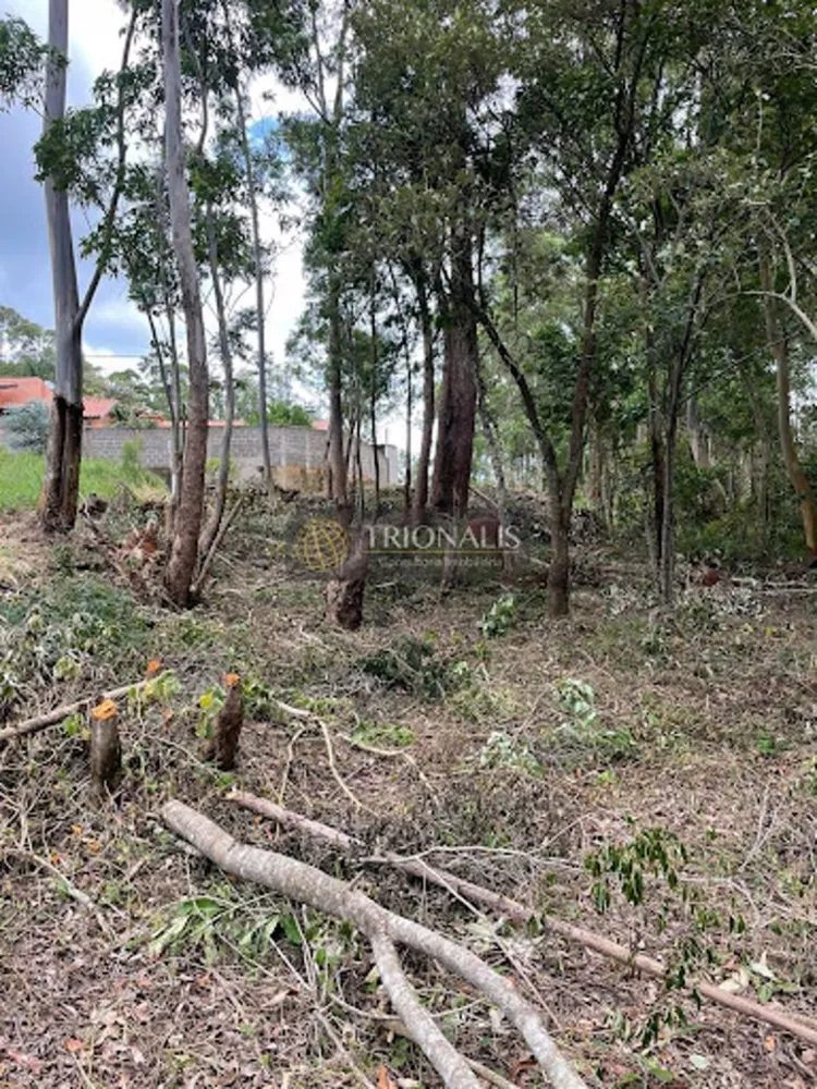 Terreno, 360 m² - Foto 7