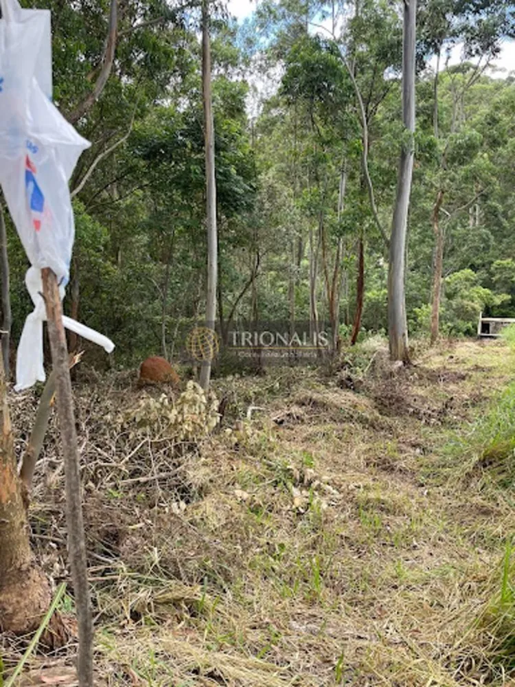 Terreno, 360 m² - Foto 1
